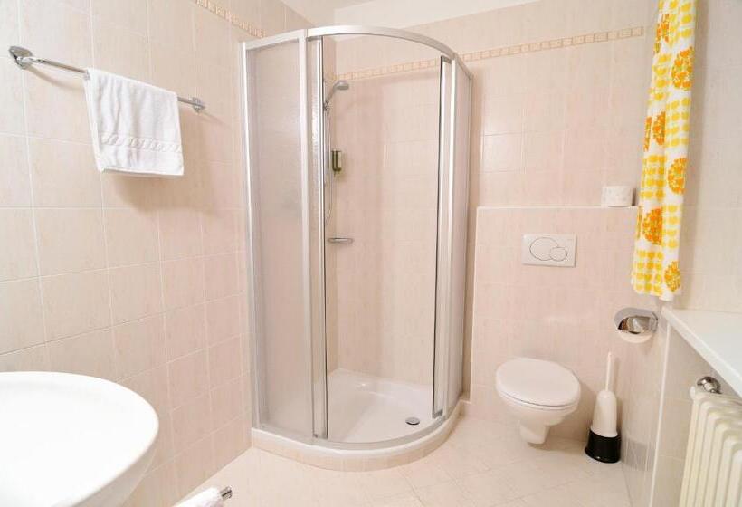 חדר סטנדרט יחיד, Garni Le Chalet