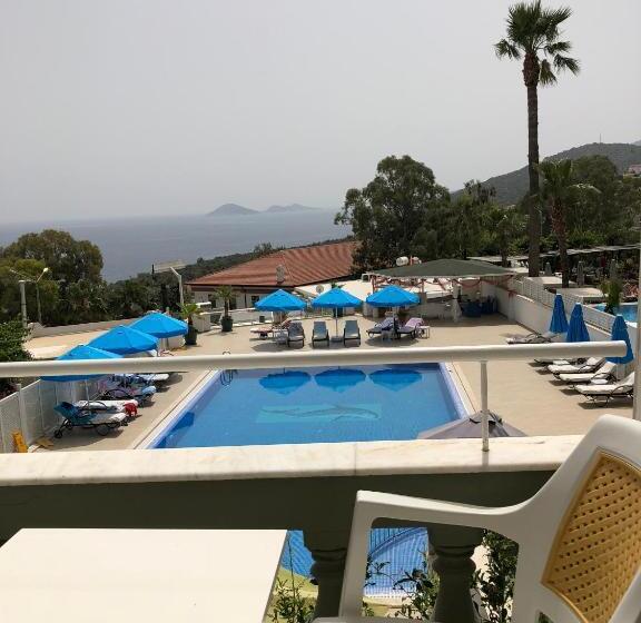 اتاق استاندارد, Kalkan Dream