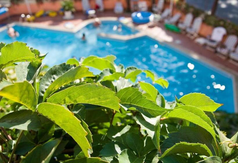 اتاق استاندارد چهار تخته, Meeting