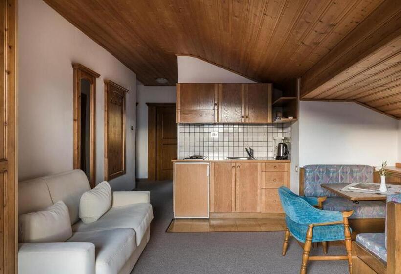 آپارتمان 1 خوابه با بالکن, Pension Zum Burggräfler