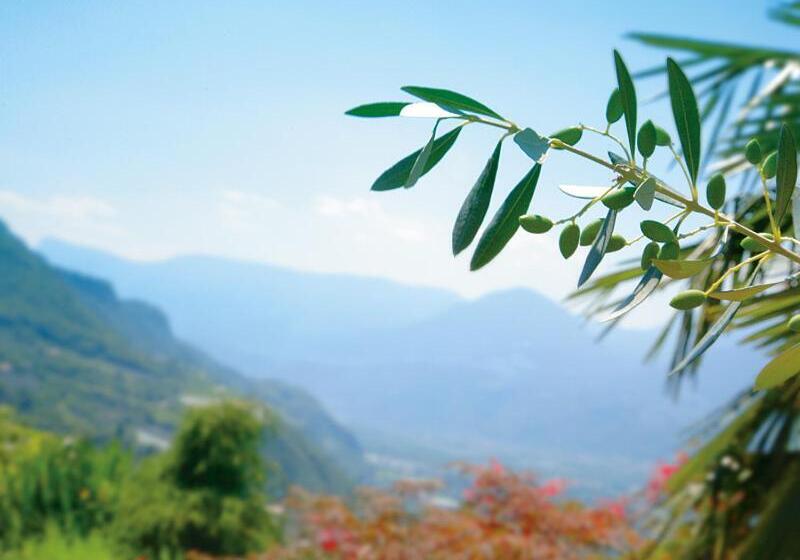 اتاق عادی, Pension Zum Burggräfler