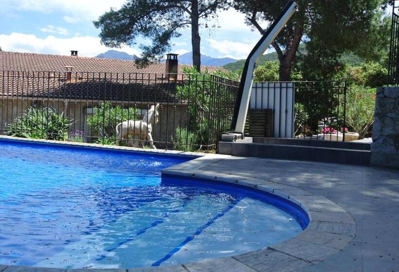 استودیوی استاندارد, Stella Marina