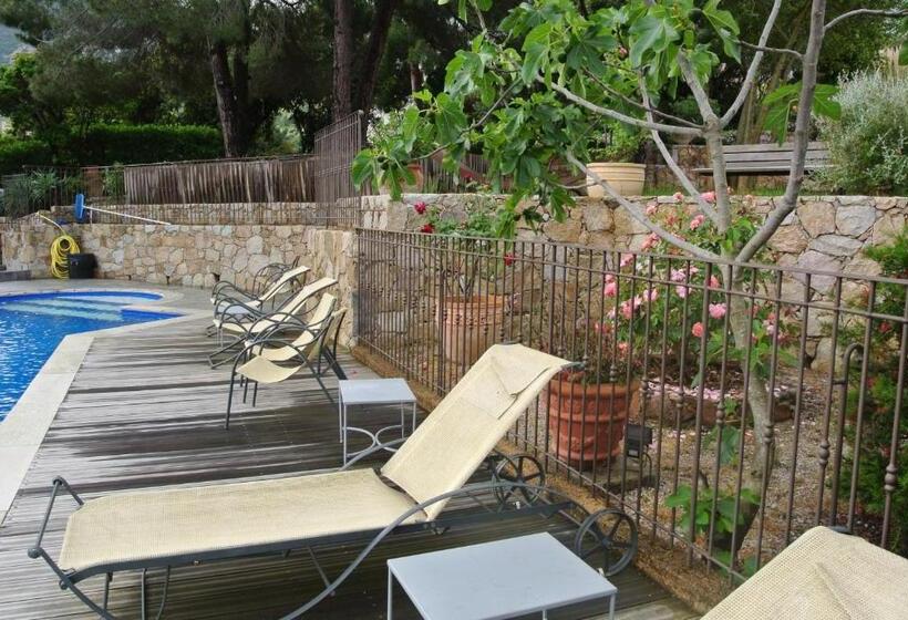 استودیوی استاندارد, Stella Marina