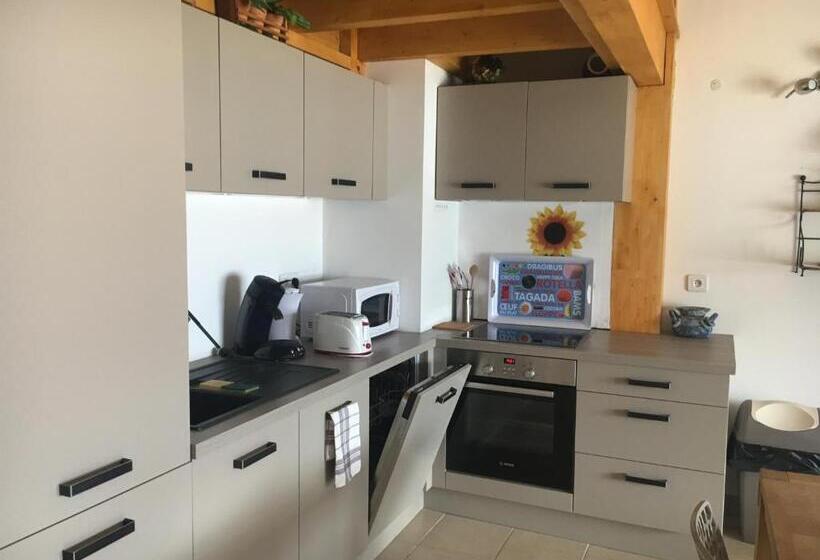 استودیوی استاندارد, Stella Marina