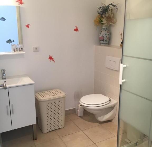 استودیوی استاندارد, Stella Marina