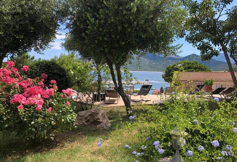 اتاق کلاسیک با چشم‌انداز دریا, Stella Marina