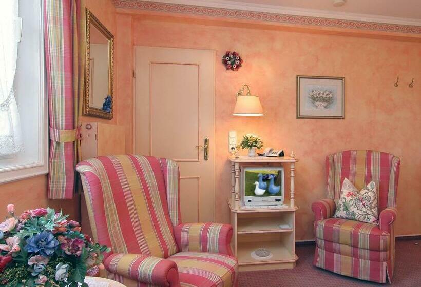 ガーデンビュースタンダードルーム, Wiesbaden