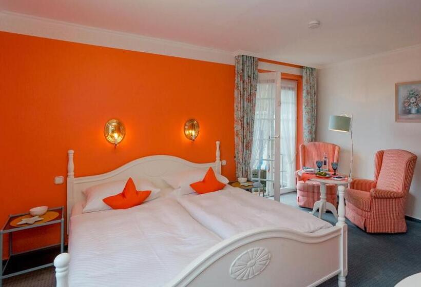 テラス付きスタンダードルーム, Wiesbaden