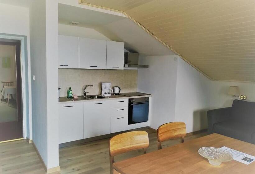 Апартаменты 1 Спальня с Видом, Pension Apartments Klotznerhof