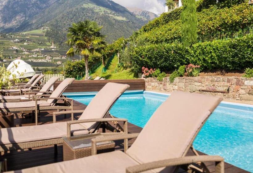 테라스 싱글룸, Weingut Innerleiterhof