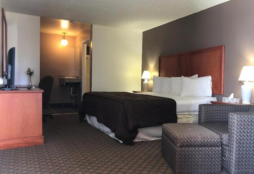غرفة قياسية سرير كينج, Travel Inn