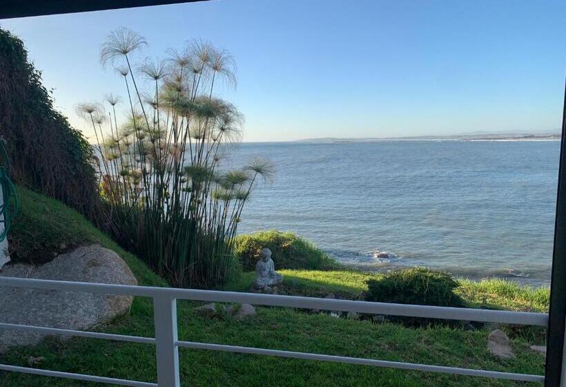 스탠다드 룸 바다 전망, Laura Del Mar Hotel Boutique