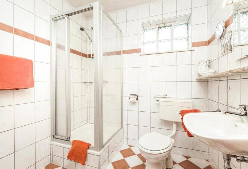 스탠다드 싱글 룸, Genusshotel Hohenbogen