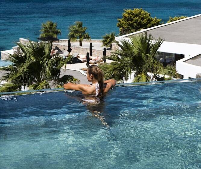 海の見えるエクゼクティブスイート, Amazon Suites