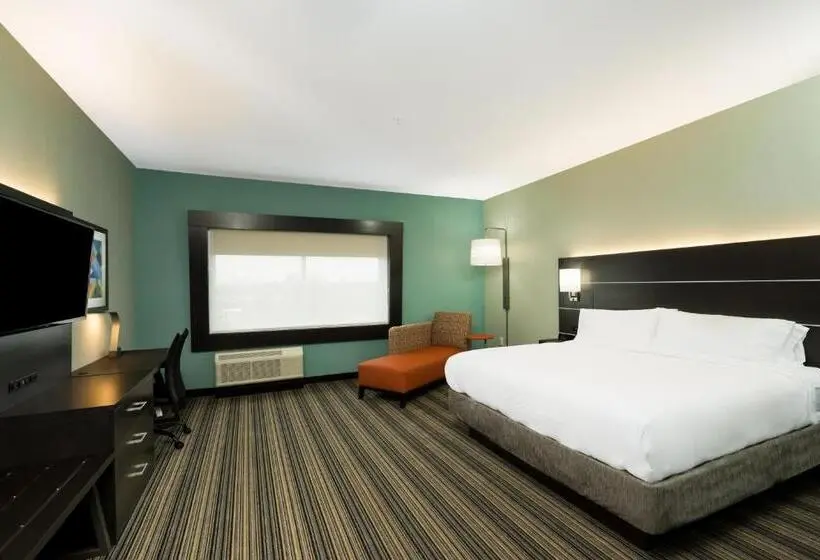 身障者適用キングサイズベッドルーム, Holiday Inn Express & Suites Greenville Se   Simpsonville, An Ihg