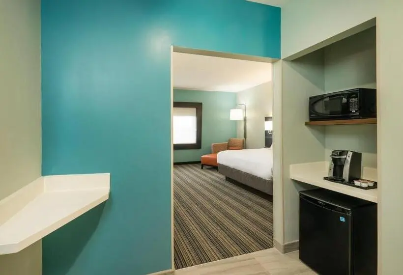 身障者適用スタンダードルーム, Holiday Inn Express & Suites Greenville Se   Simpsonville, An Ihg
