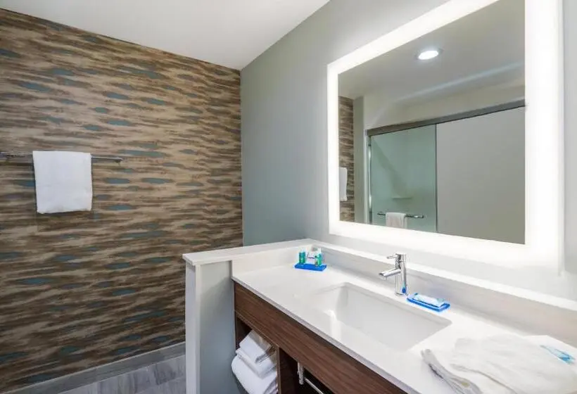 身障者適用スタンダードルーム, Holiday Inn Express & Suites Greenville Se   Simpsonville, An Ihg