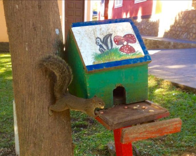 샬레, Velinn áustria Hotel Monte Verde