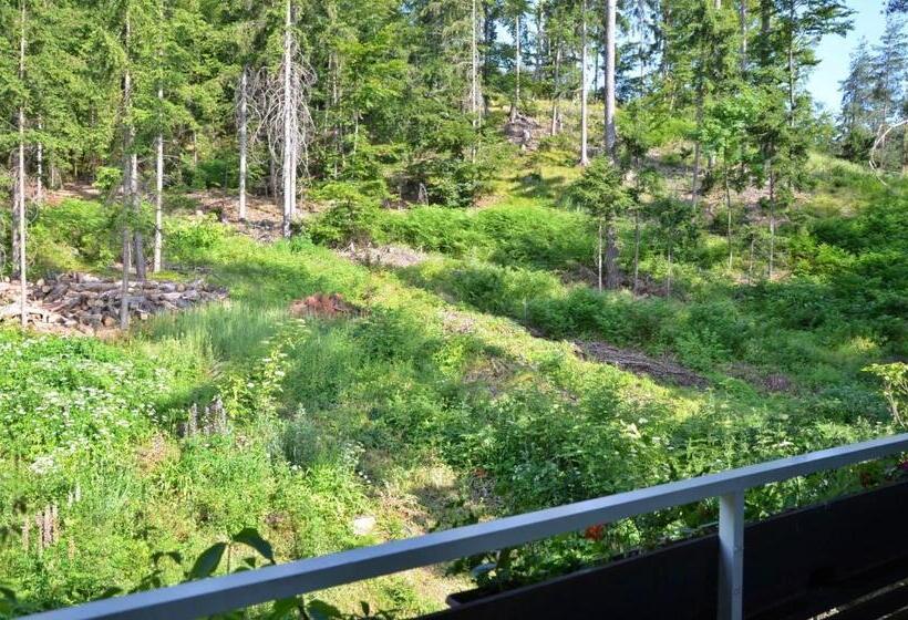 شقة غرفة نوم واحدة مزودة بشُرفة, Villa Desiree   Hotel Garni   Adults Only