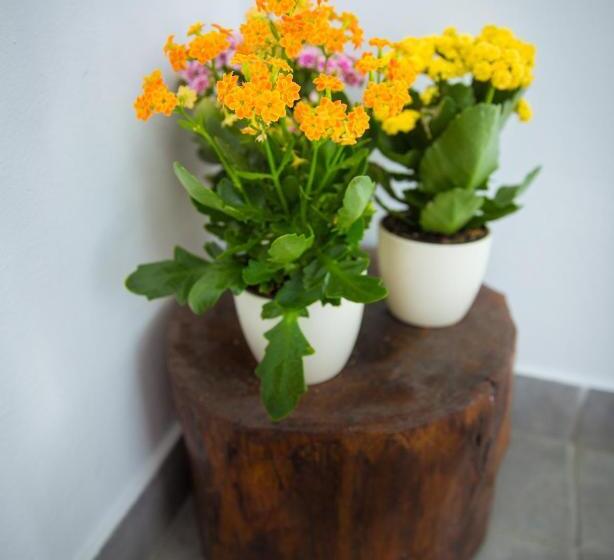 스탠다드 룸 가든 전망, B&b Tara Garden