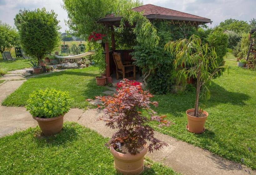 디럭스 전망 룸, B&b Tara Garden