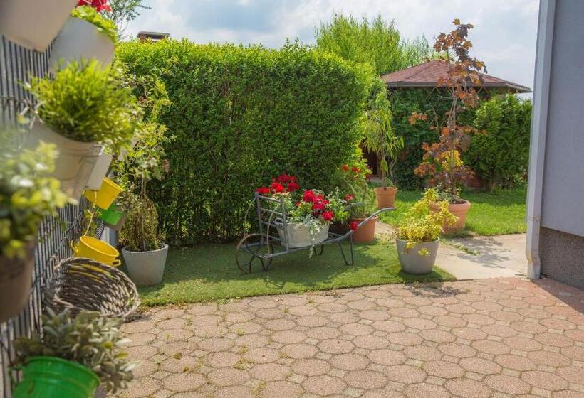 اتاق لوکس با چشم‌انداز, B&b Tara Garden
