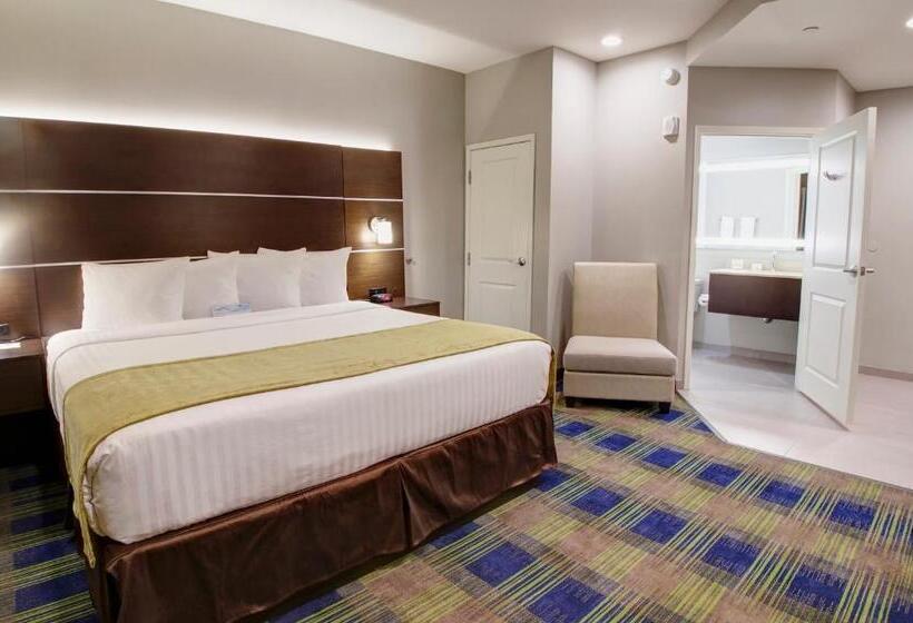 스탠다드 룸 킹사이즈 침대, Days Inn & Suites By Wyndham Port Arthur