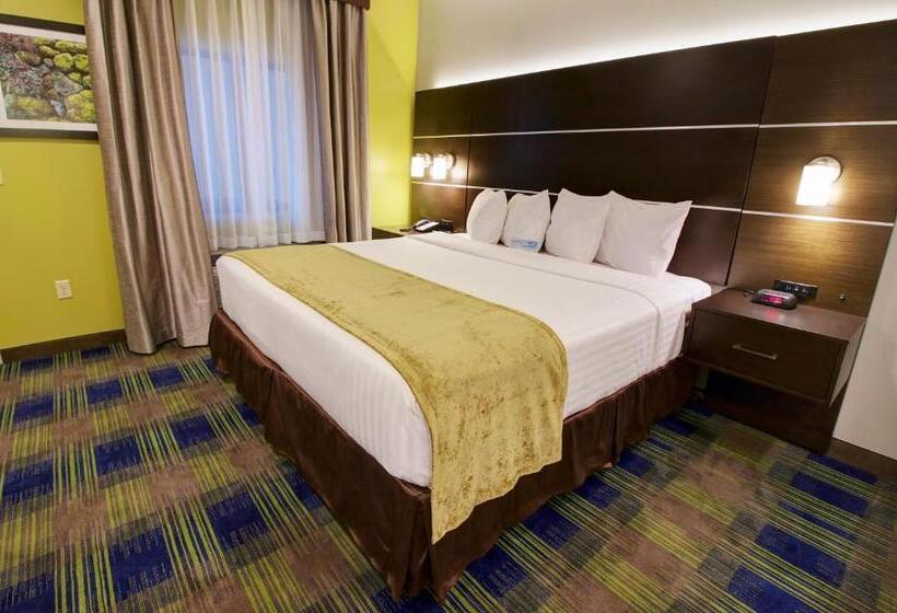 身障者適用キングサイズベッドルーム, Days Inn & Suites By Wyndham Port Arthur