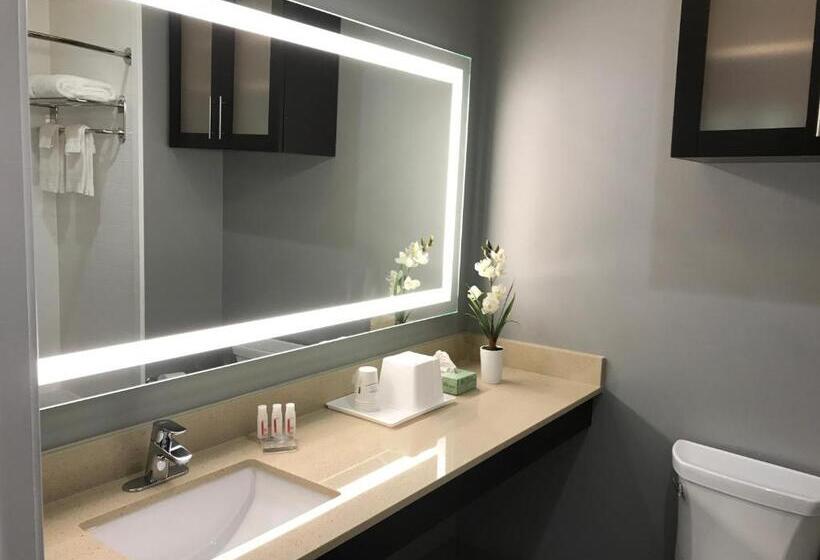 장애인을 위한 스탠다드 룸, Days Inn & Suites By Wyndham Port Arthur