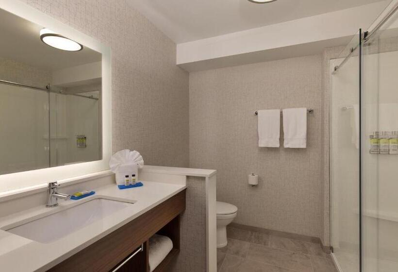 带大床的标准间, Holiday Inn Express & Suites   Portland Airport   Cascade Stn, An Ihg