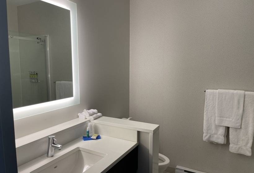 חדר סטנדרט, Holiday Inn Express & Suites   Gatineau   Ottawa, An Ihg