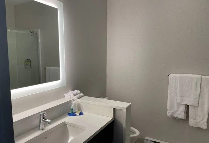 スタンダードルーム, Holiday Inn Express & Suites   Gatineau   Ottawa, An Ihg