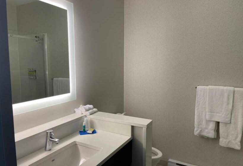 מיטת קינג בסוויטה, Holiday Inn Express & Suites   Gatineau   Ottawa, An Ihg