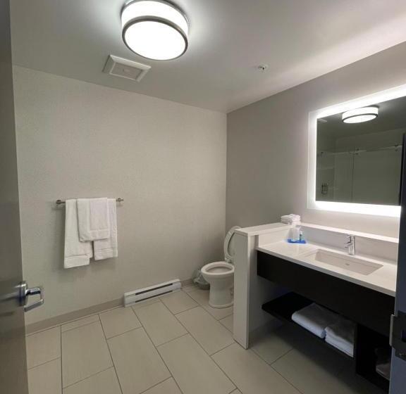 חדר אקזקיוטיב חדר קינג, Holiday Inn Express & Suites   Gatineau   Ottawa, An Ihg