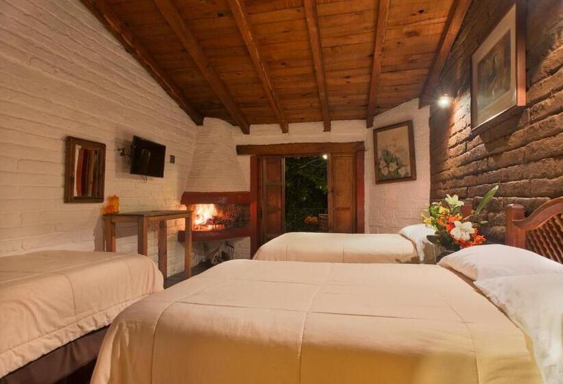 四人标准间, La Casa De Maty