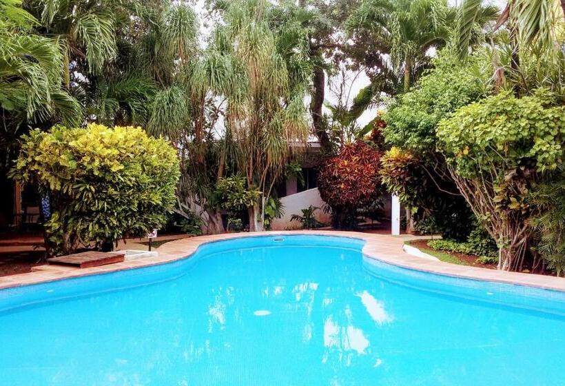 اتاق لوکس با تخت بزرگ, Maya Vacanze Playa Alegria