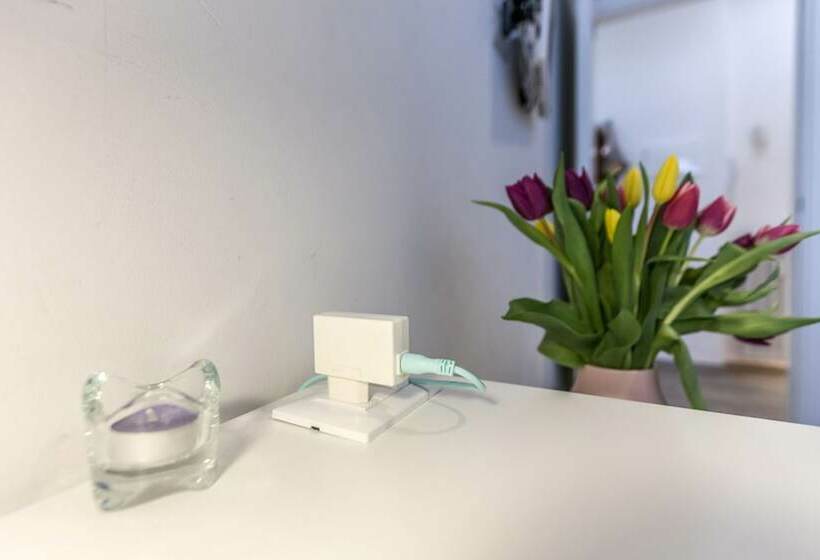 اتاق استاندارد یک نفره, Central City Rooms