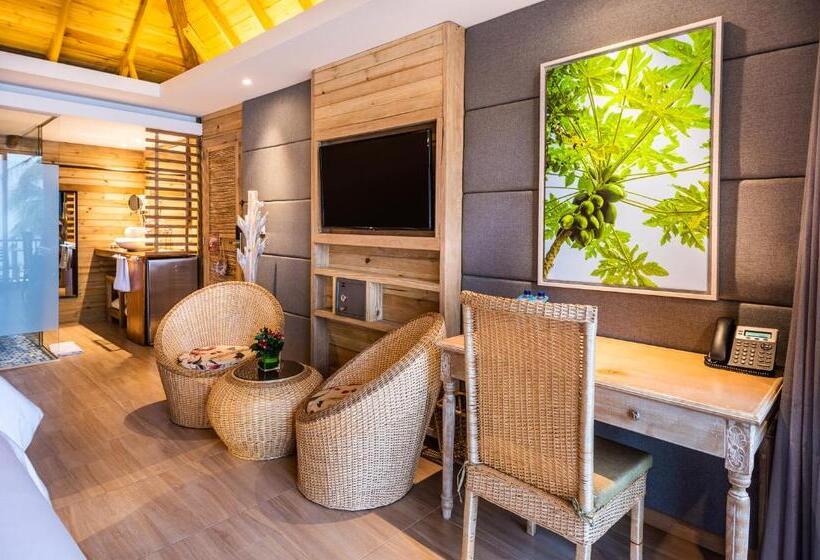 ジュニアスイート, Isla Del Encanto