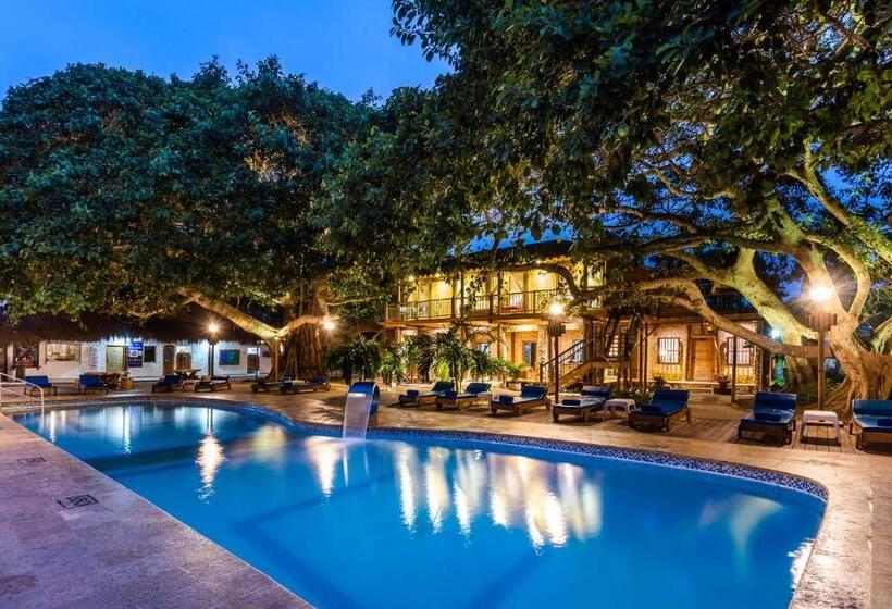 スタンダードルーム, Isla Del Encanto