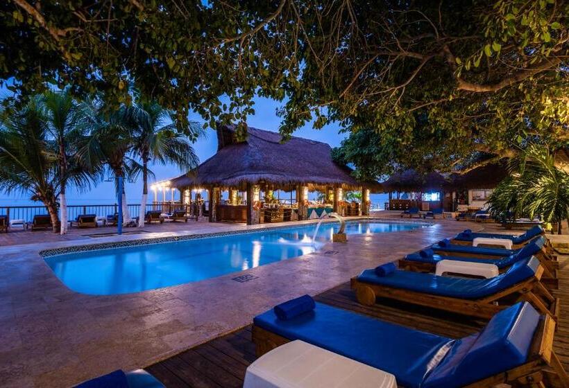 スタンダードルーム, Isla Del Encanto