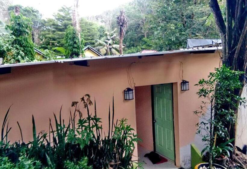 اتاق استاندارد, Tuk Tuk Guesthouse