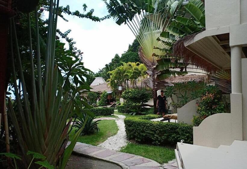 コンフォートルーム, Mama Beach Residence Adults Only