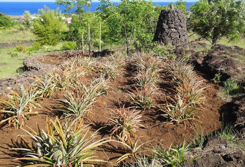 1间卧室的房子, Heva Eco Lodge