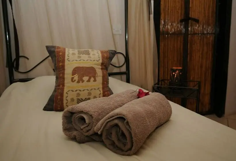 اتاق استاندارد, Zig Zag Town Lodge   Hostel