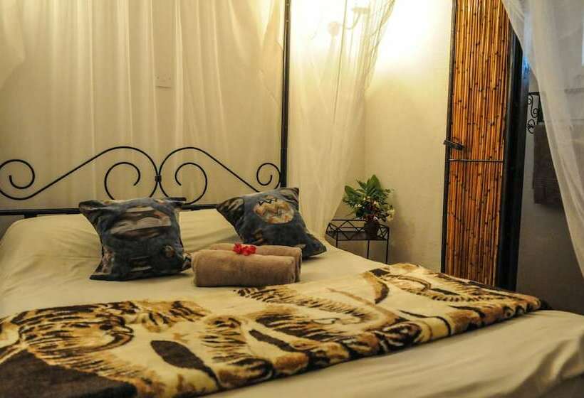 اتاق استاندارد, Zig Zag Town Lodge   Hostel
