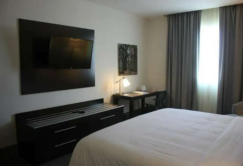 スタンダードルーム, Holiday Inn Express & Suites Silao Aeropuerto Terminal, An Ihg