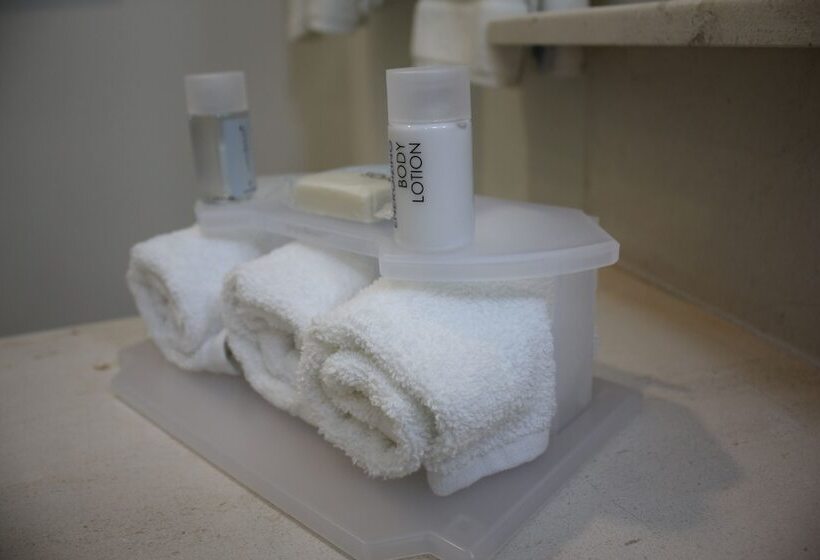 スイート, Holiday Inn Express & Suites Silao Aeropuerto Terminal, An Ihg