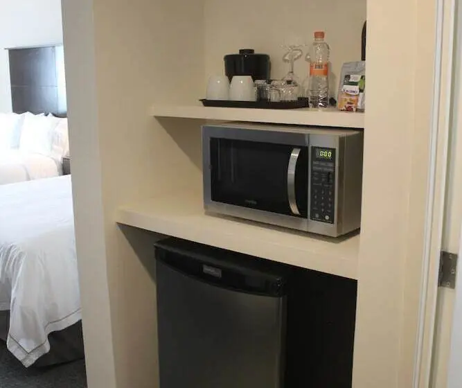 スイート, Holiday Inn Express & Suites Silao Aeropuerto Terminal, An Ihg