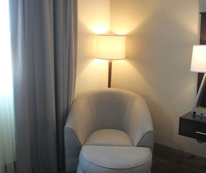 スイート, Holiday Inn Express & Suites Silao Aeropuerto Terminal, An Ihg