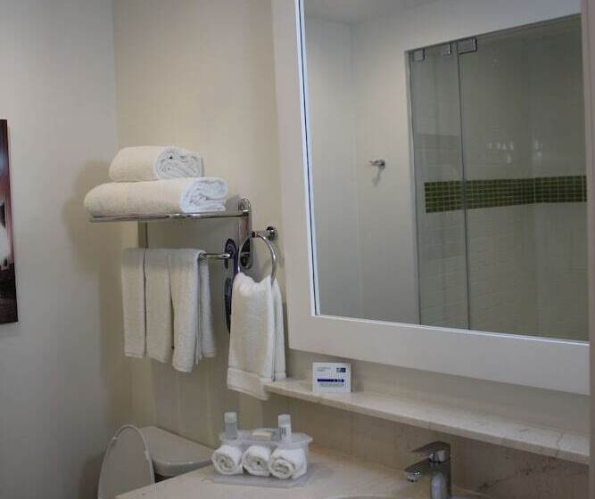 套房, Holiday Inn Express & Suites Silao Aeropuerto Terminal, An Ihg